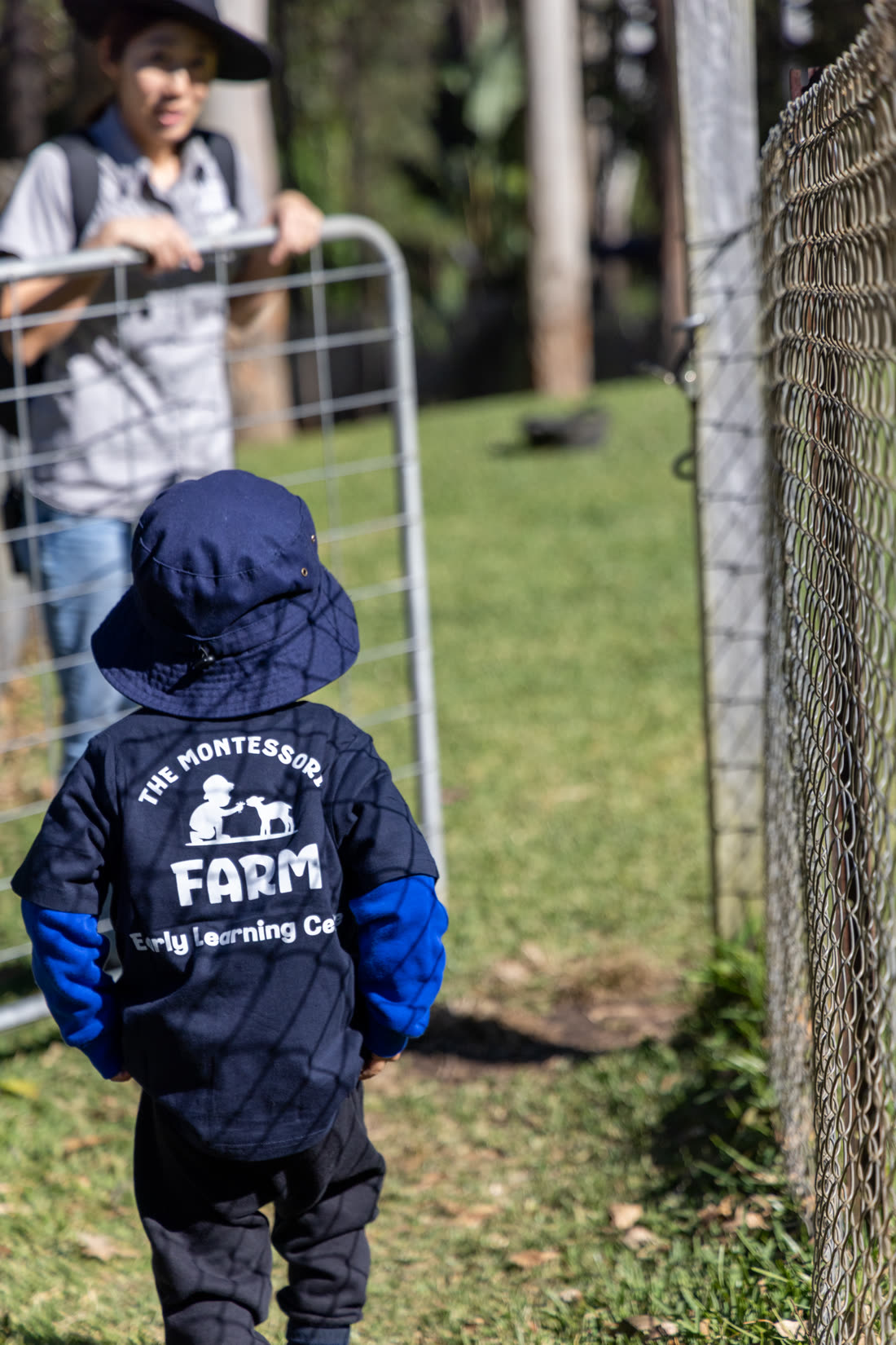 A child at the paddock gate