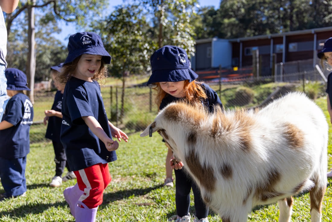 Children walking with a miniature goat