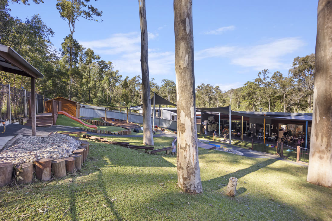 The playspace winding through the trees